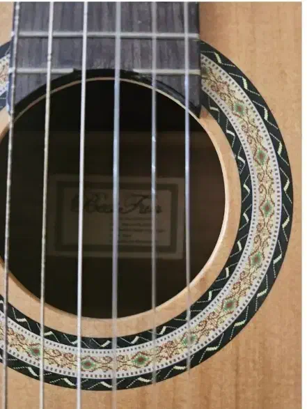 گیتار|گیتار، بیس، امپلیفایر|کرج, فاز ۴ مهرشهر|دیوار