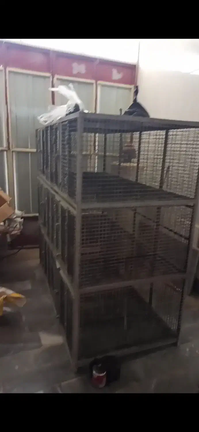 قفس مرغ و کبوتر|لوازم جانبی حیوانات|لاران, |دیوار