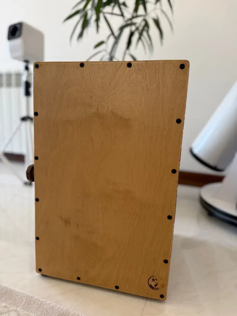 کاخون|درام و پرکاشن|کرمان, |دیوار