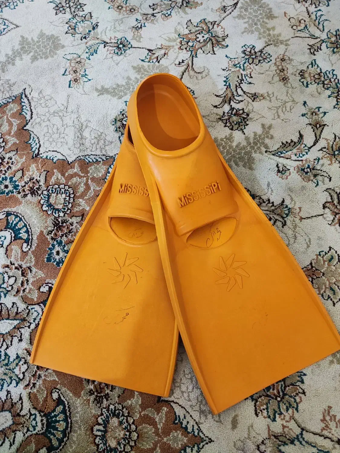 فین استخر|غواصی و ورزش‌های آبی|نیشابور, بنیاد شهید|دیوار