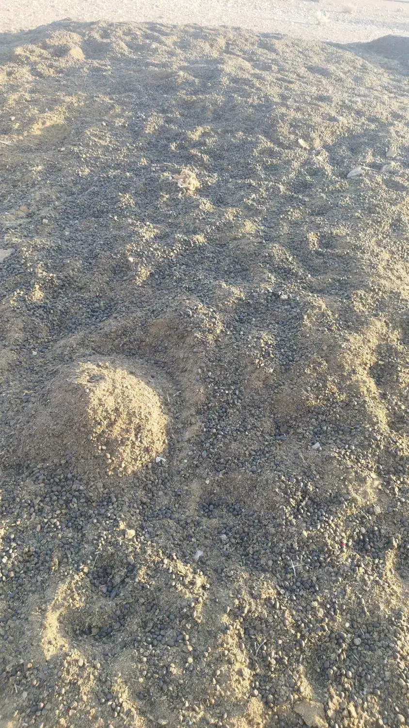 کود حیوانی|گل و گیاه طبیعی|فسا, |دیوار