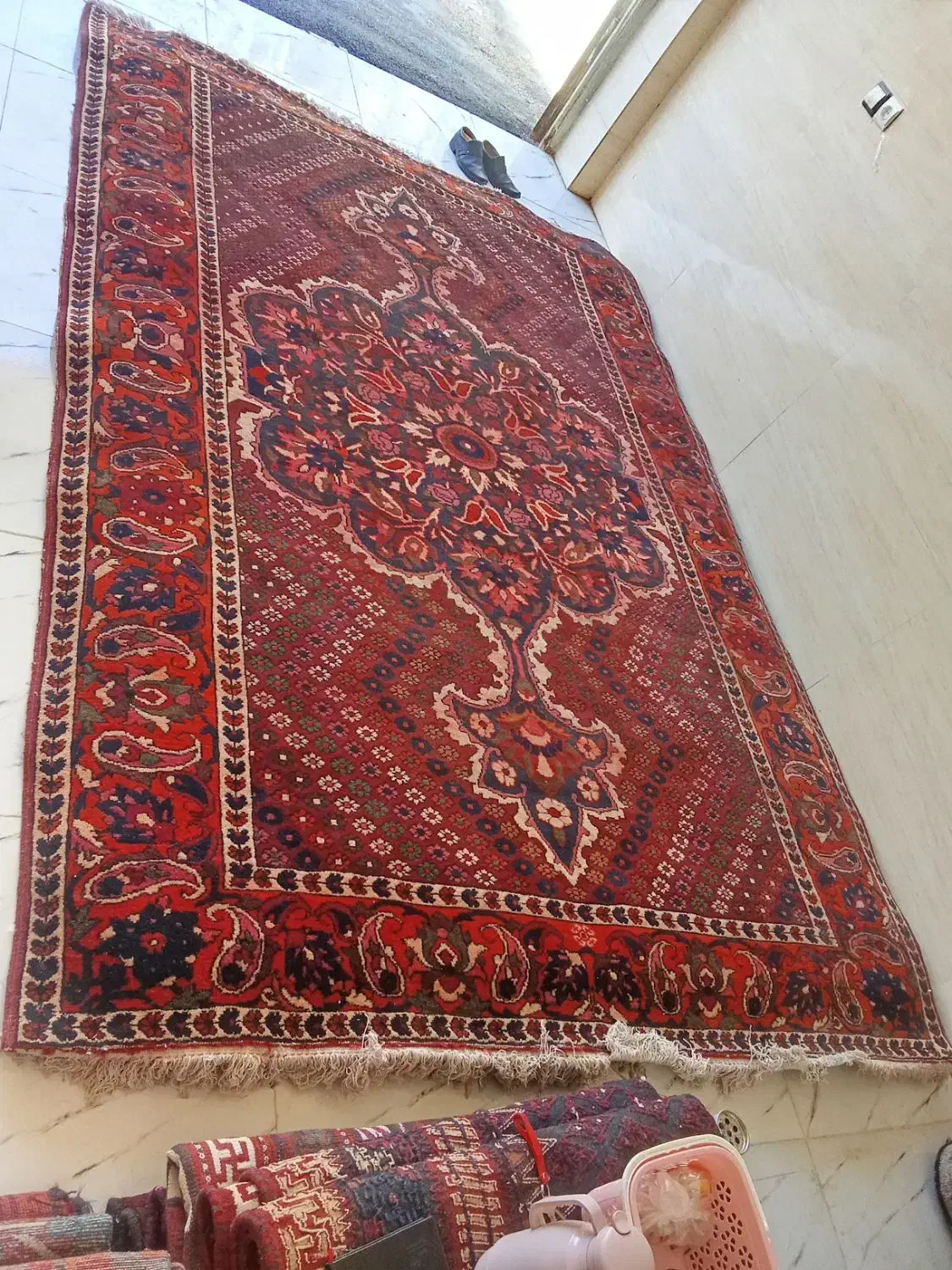 ده تخته فرش ۶ متری دستباف صادراتی|فرش|لردگان, |دیوار