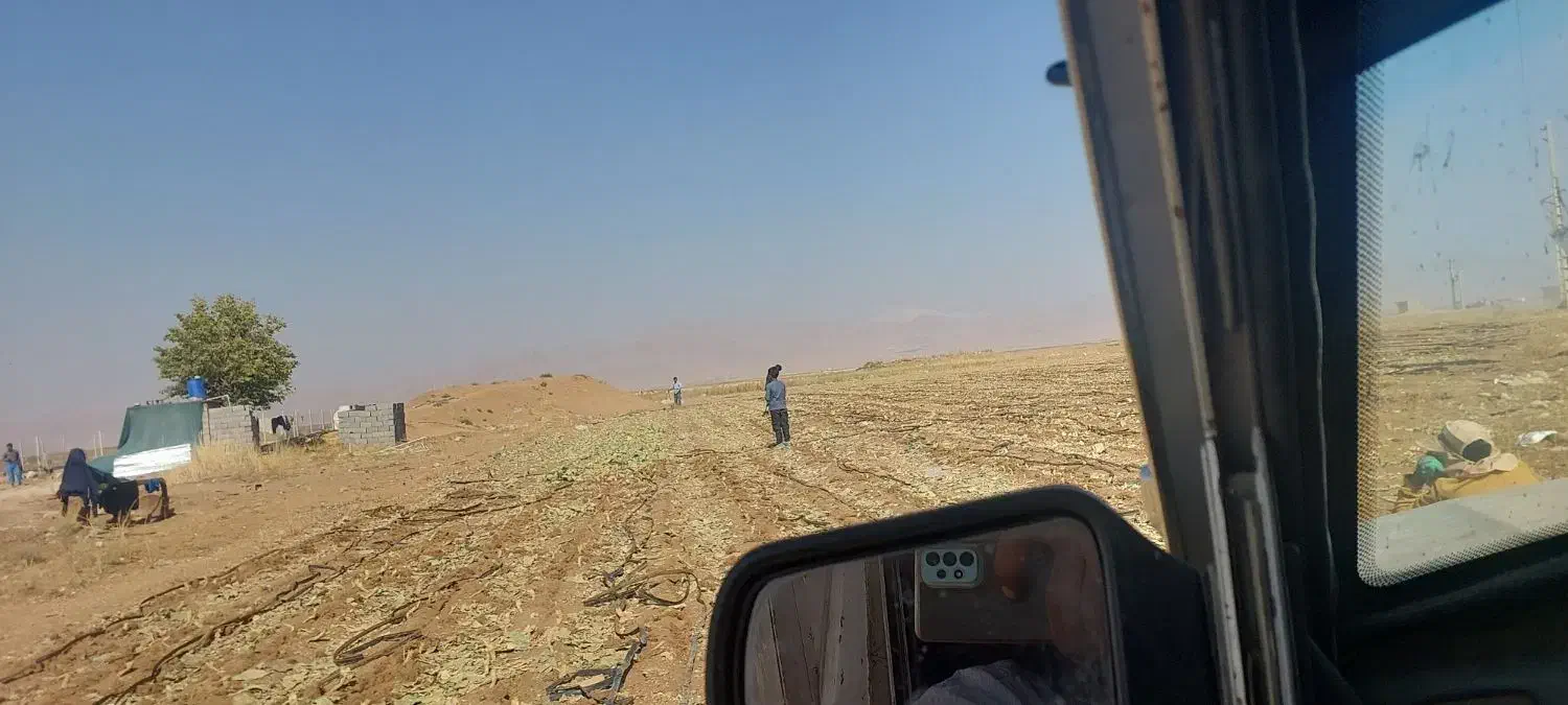 خرید تیپ ضایعاتی تحویل خنجشت۳۷تا۴۰تومان تسویه نقد|خدمات باغبانی و درختکاری|اقلید, |دیوار