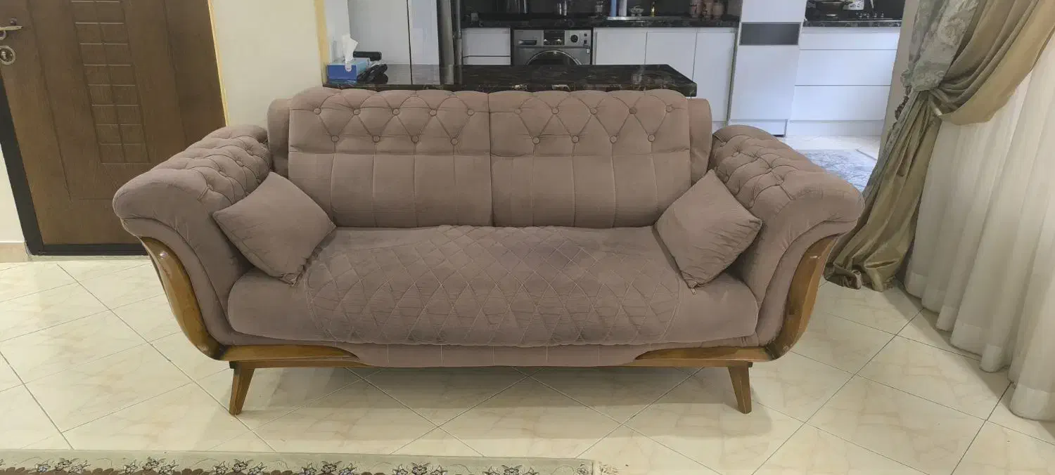 کاناپه|مبلمان خانگی و میز عسلی|رشت, کاکتوس|دیوار