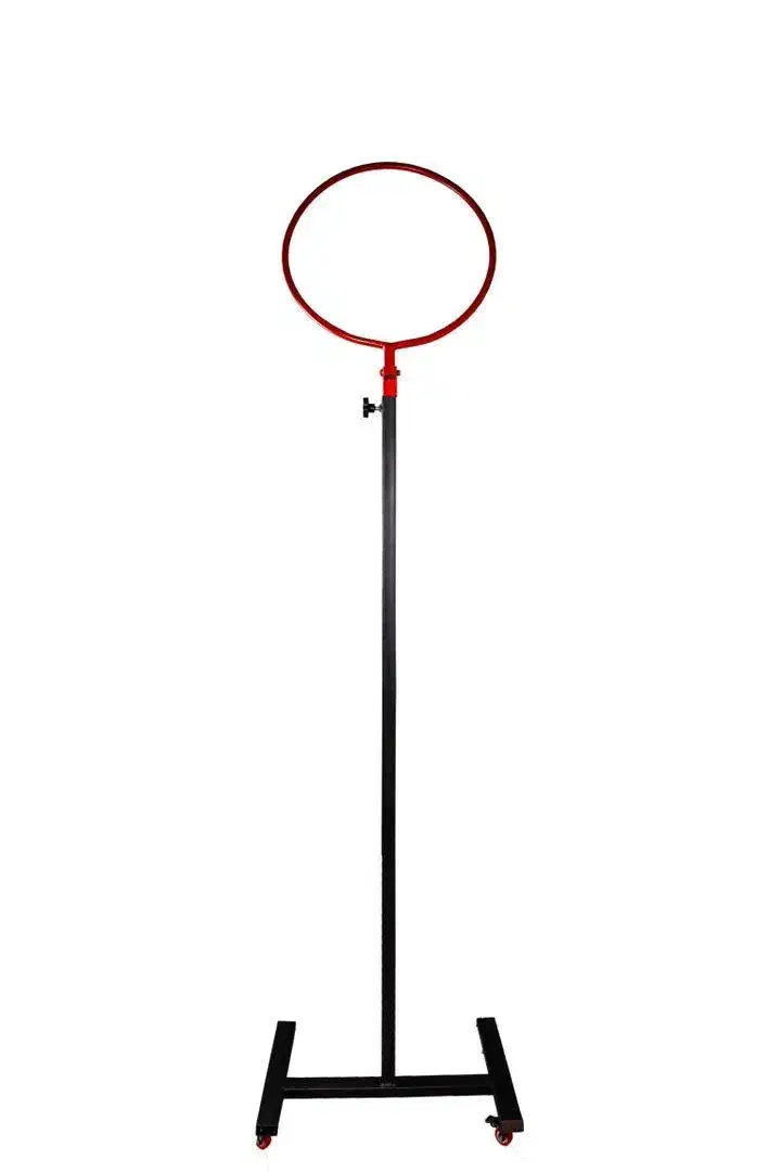 حلقه پاسوری|ورزشهای توپی|تهران, منیریه|دیوار