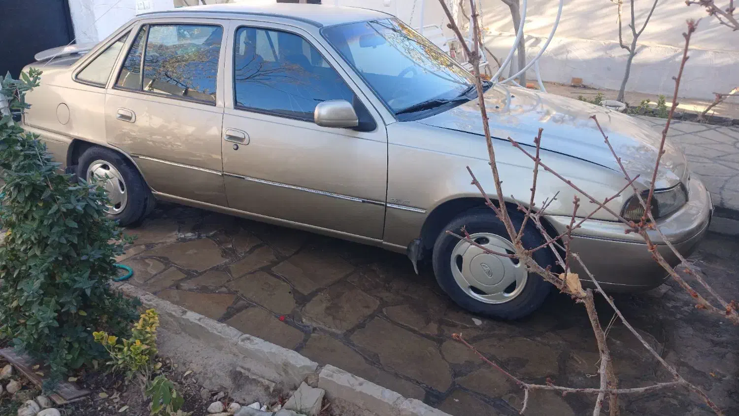 دوو سیلو۸۱|خودرو سواری و وانت|مشهد, هفت تیر (آب و برق)|دیوار