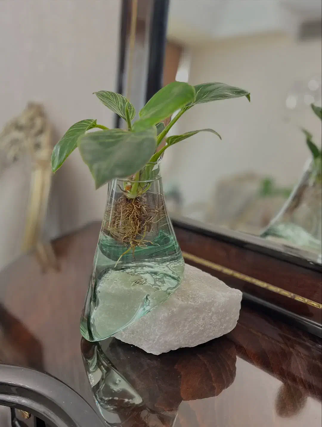 گلدان و سنگ نمک|صنایع دستی و سایر لوازم تزئینی|تهران, سازمان برنامه جنوبی|دیوار