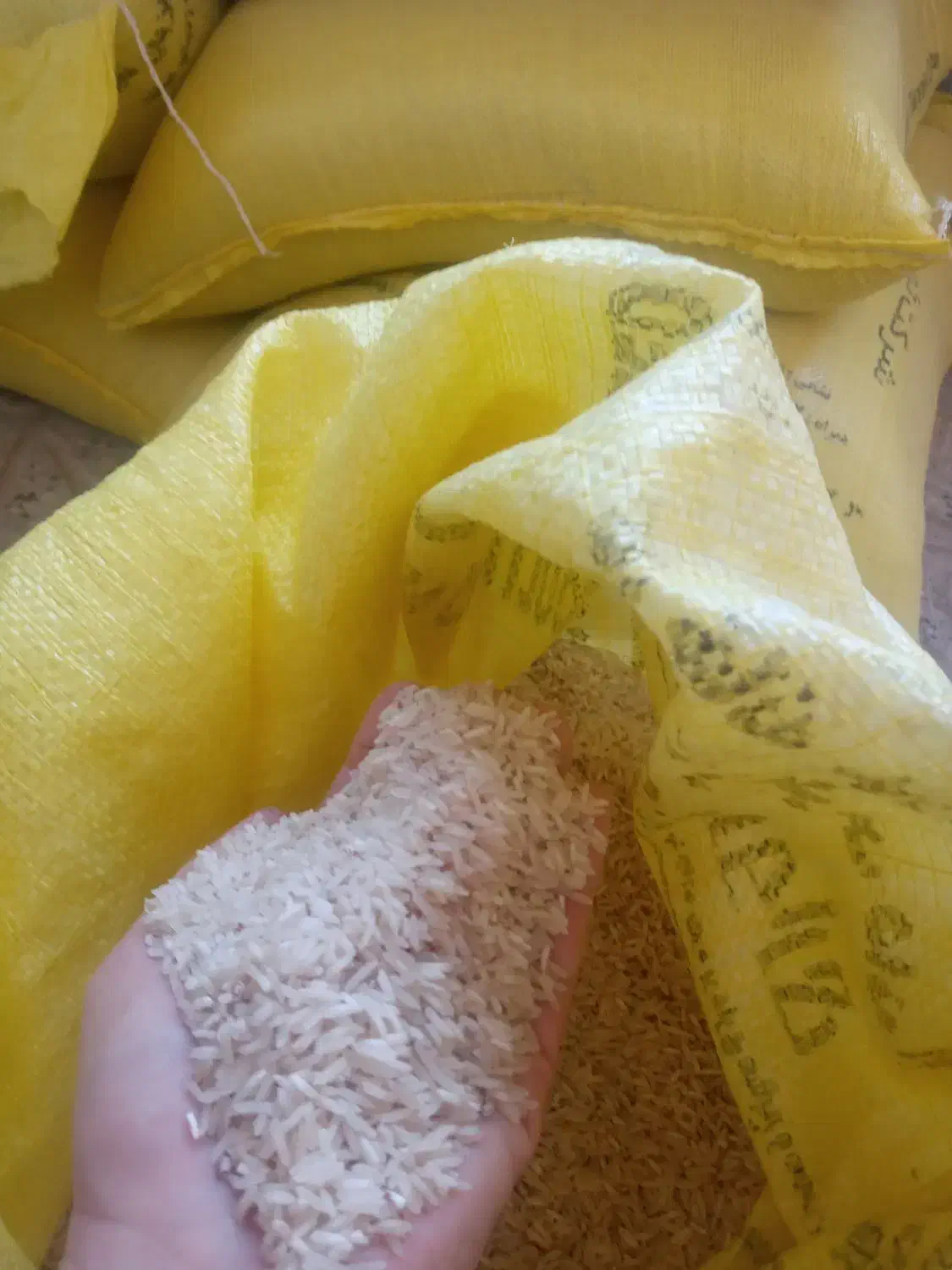 برنج ضیغمی سیروان|خوردنی و آشامیدنی|سیروان, |دیوار