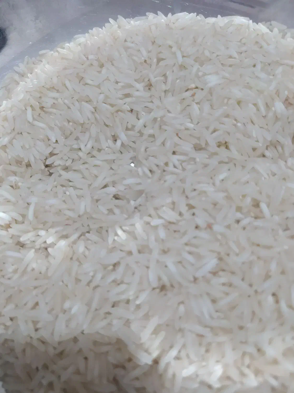 برنج ضیغمی|عمدهفروشی|دره شهر, |دیوار