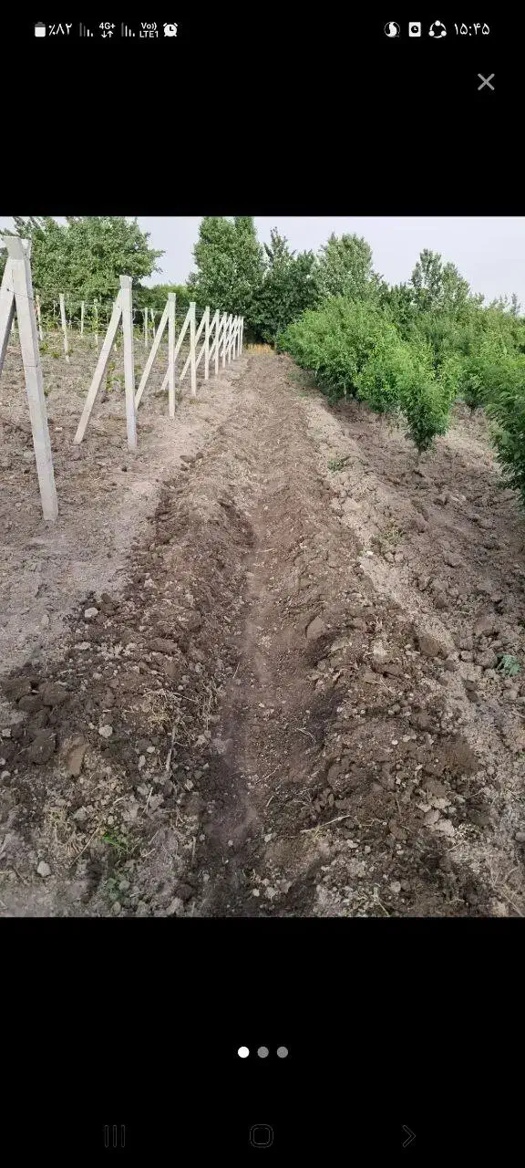 دوهکتارزمین آبی|خدمات باغبانی و درختکاری|نقده, |دیوار