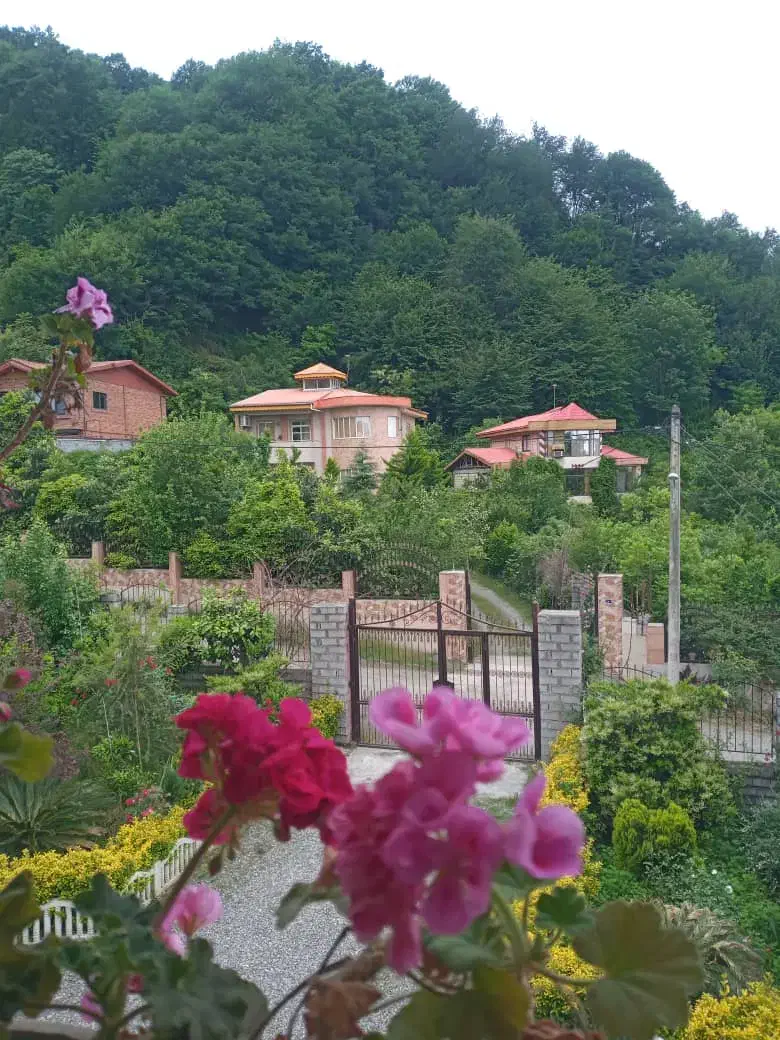 کرایه ویلا جنگلی سویت استخردار روزانه با مجوز|اجارهٔ کوتاهمدت ویلا و باغ|لاهیجان, قیام|دیوار