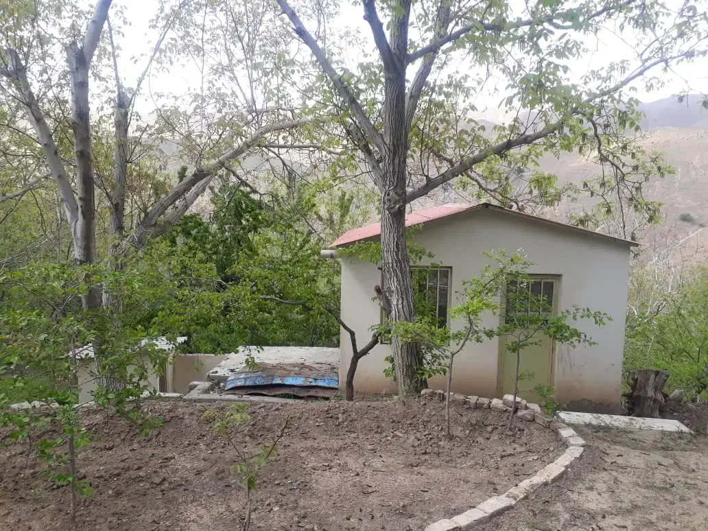 ۹۶۰ متر باغچه فروشی/جاده چالوس/نوجان|فروش خانه و ویلا|آسارا, |دیوار