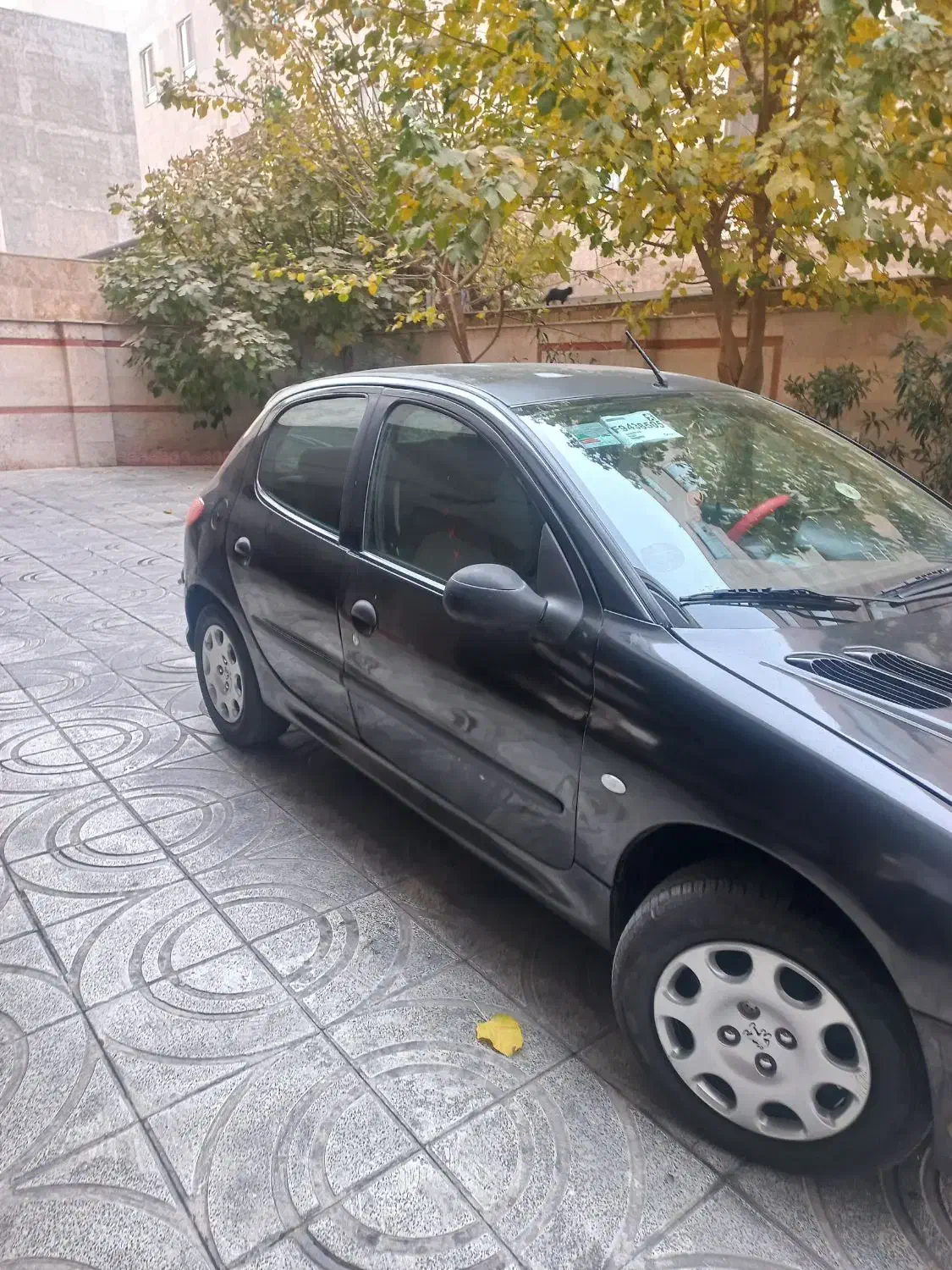 پژو مشکی ۲۰۶|خودرو سواری و وانت|شهریار, شهرک شاهد|دیوار