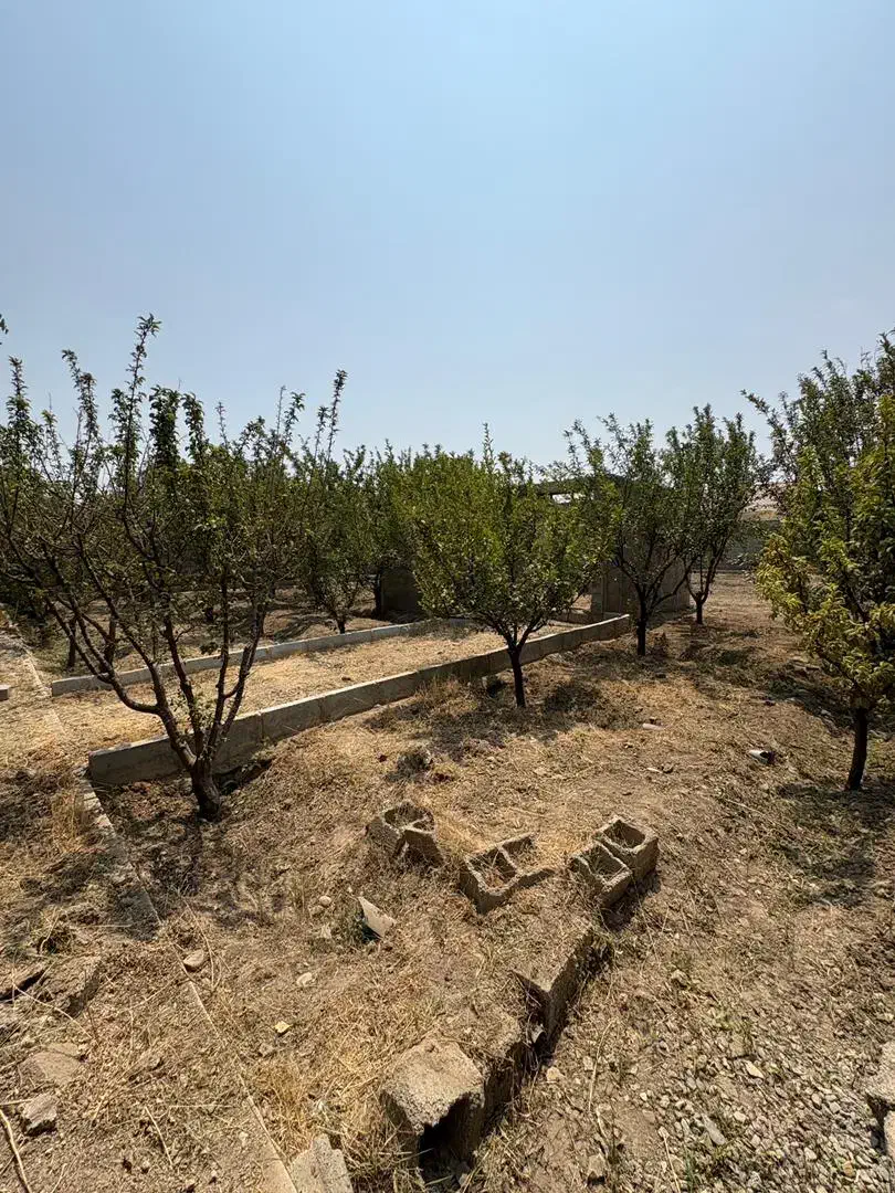 ۶۳۰ متر باغچه با سه میلیارد نقد تهاتر با آپارتمان|فروش آپارتمان|کرج, کوی مهر|دیوار