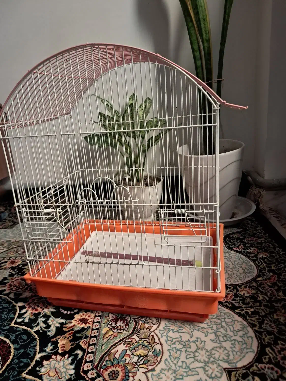 قفس پرنده|لوازم جانبی حیوانات|قدس, شهر‌قدس|دیوار