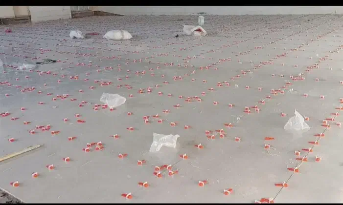 کاشی کاری سنگکاری|خدمات پیشه و مهارت|اردکان, |دیوار