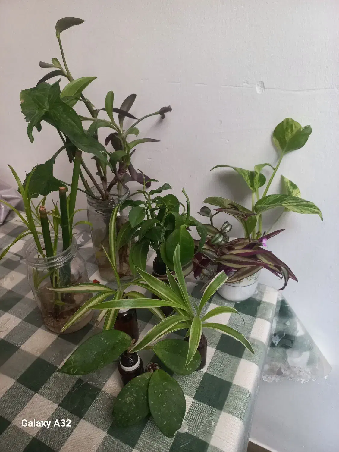 همه قلمه هاباهم فقط۱۰۰|حراج|مشهد, شهرک امام هادی (شهرک غرب)|دیوار