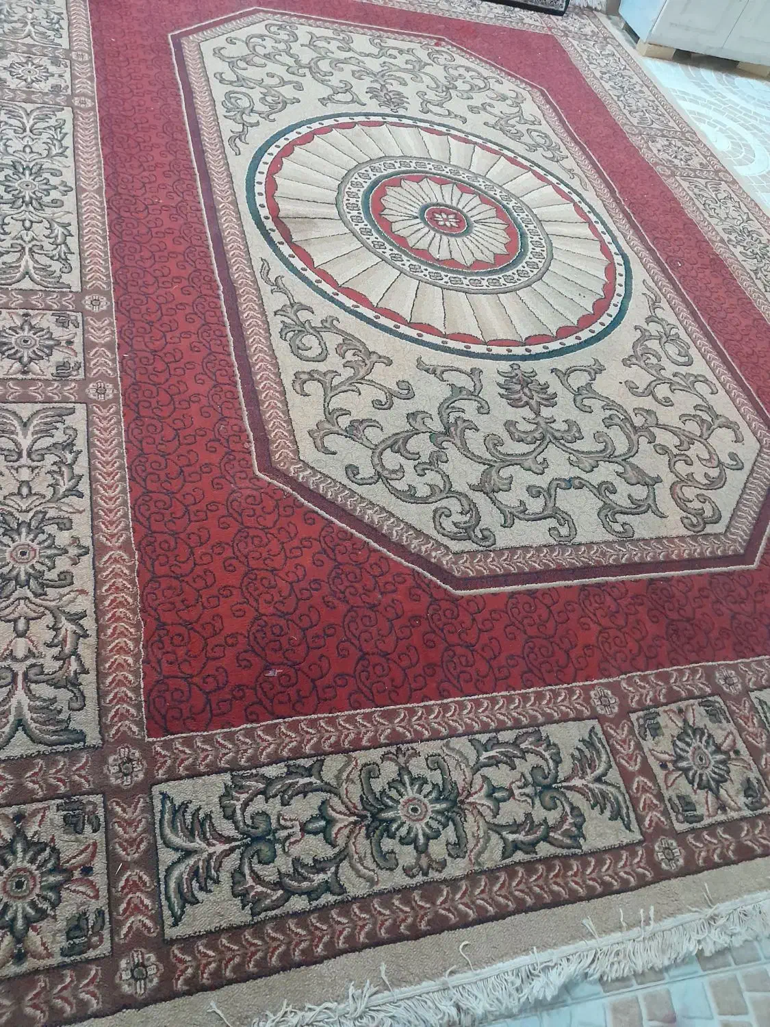 کلیم فرش ۱۲ متری|فرش|بوشهر, |دیوار