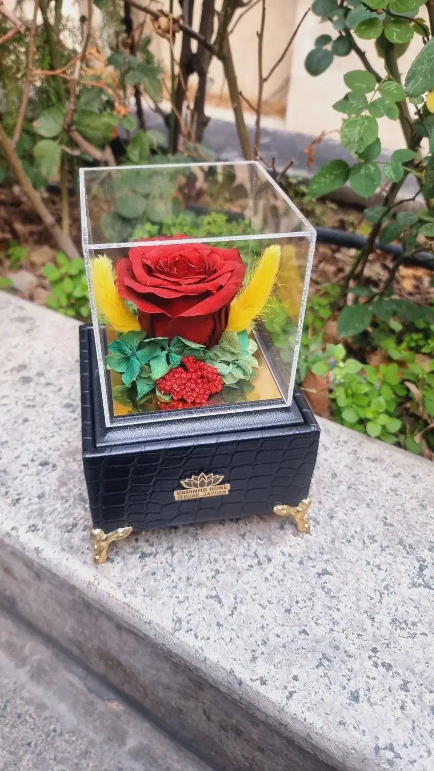 باکس چرمی موزیکال گل رز جاودان اسپیناس رز کد ۹۳|گل و گیاه طبیعی|تهران, میدان ولیعصر|دیوار