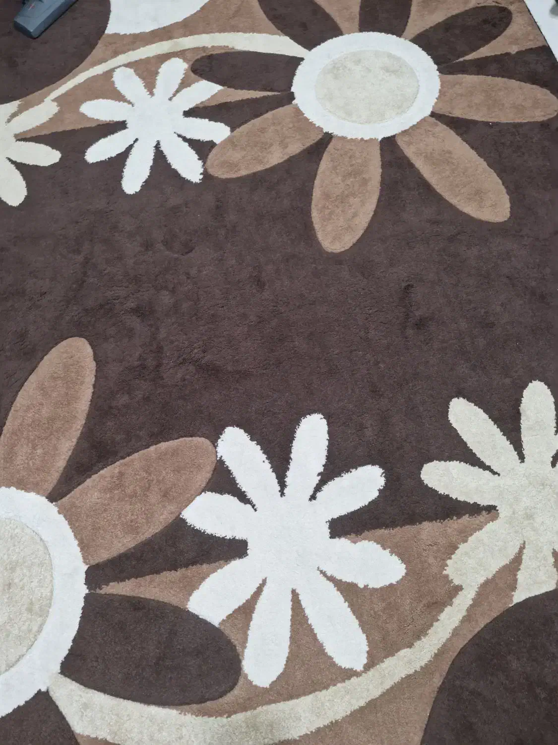 فرش ۶ متری|فرش|شاهینشهر, خانه کارگر|دیوار