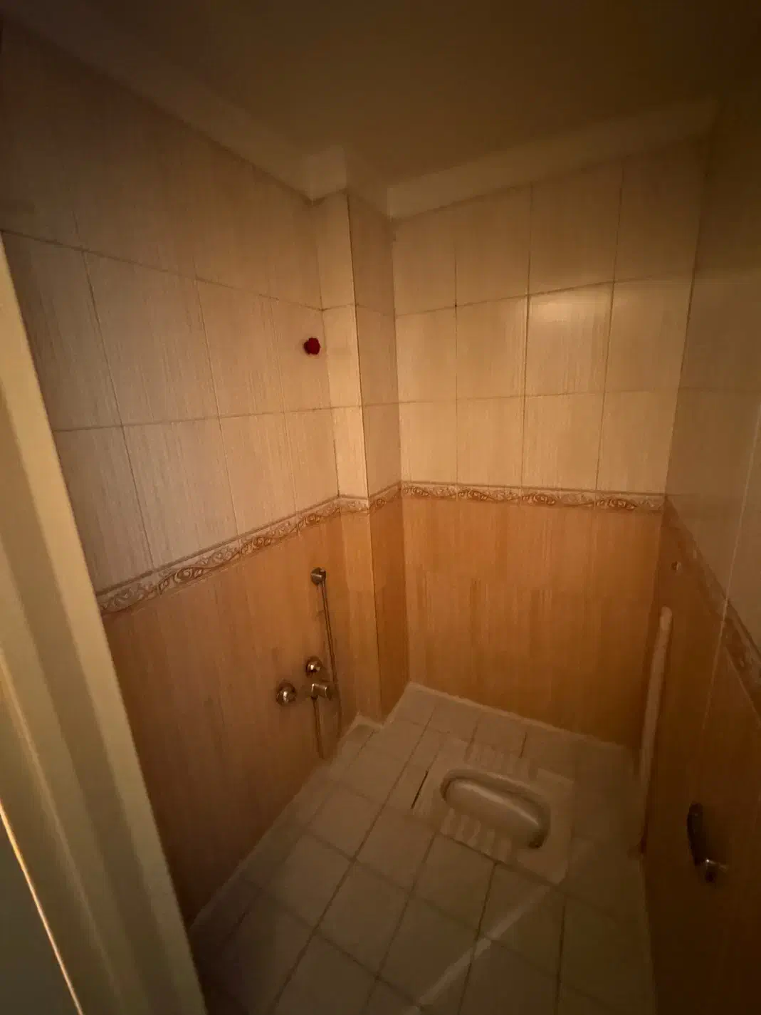 ۶۰ متر/کوچه انارک /تخلیه