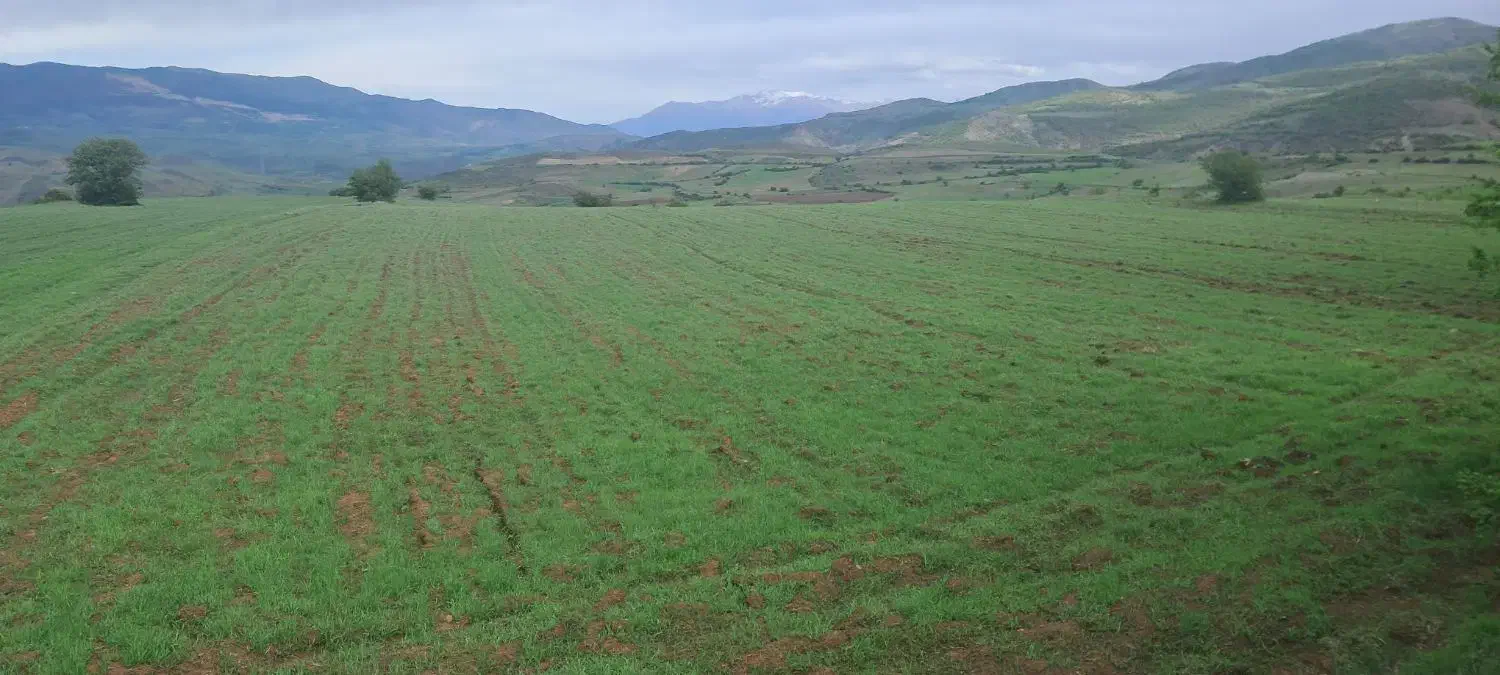 یک قطعه زمین زاراعی|فروش دفتر صنعتی، کشاورزی، تجاری|دیلمان, |دیوار