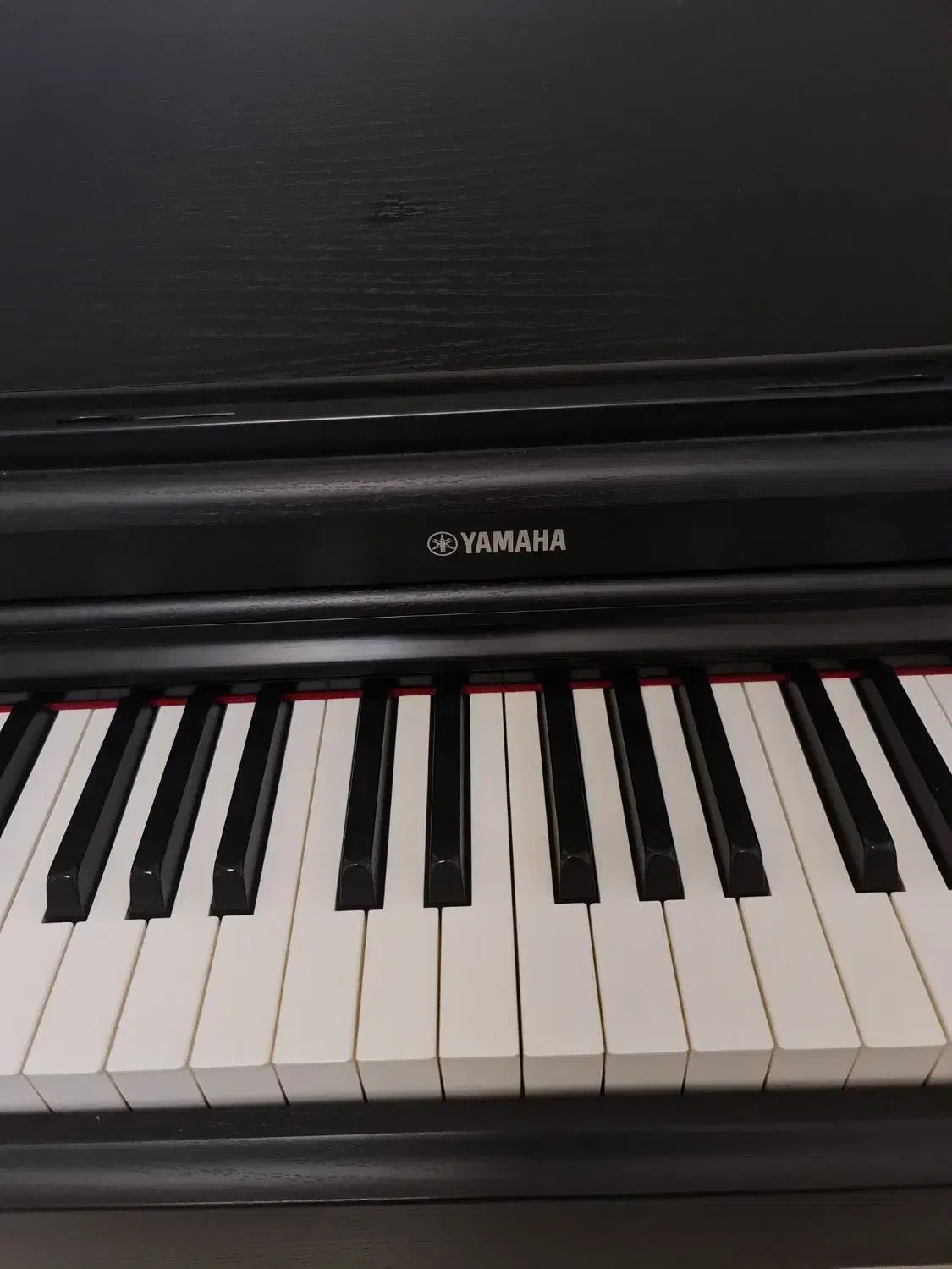 YDP164|پیانو، کیبورد، آکاردئون|تهران, ظفر|دیوار