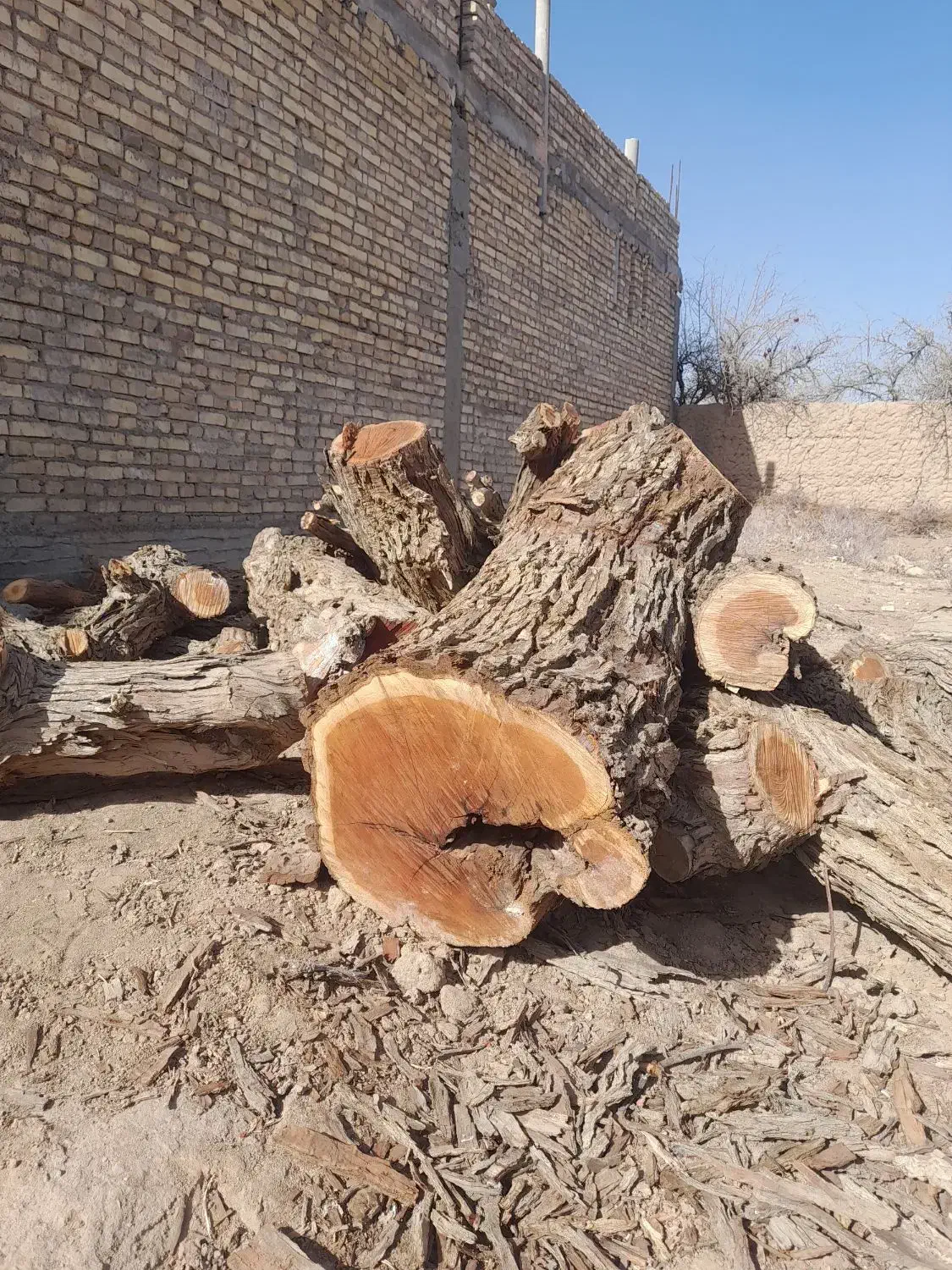 ظروف چوبی خراطی شده|صنایع دستی و سایر لوازم تزئینی|حمیدیا, |دیوار