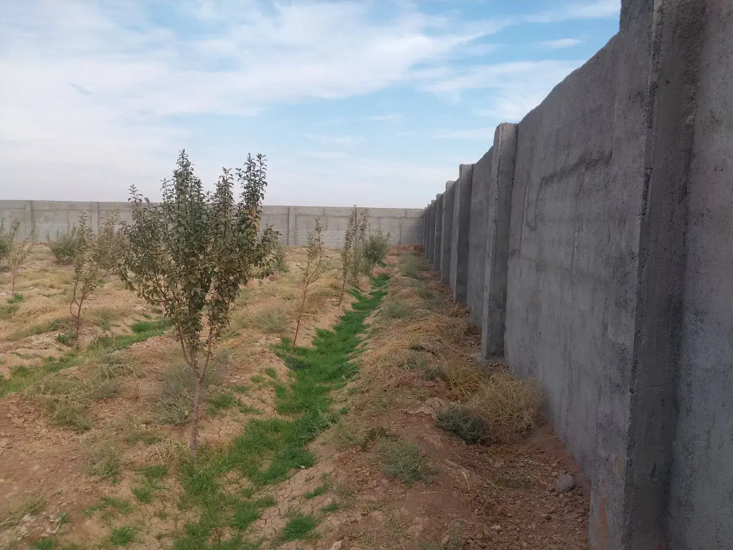 باغ دارای برق و اب|فروش دفتر صنعتی، کشاورزی، تجاری|زرندیه, |دیوار