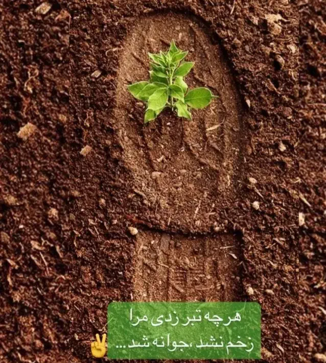 دو نفره کارگر  ساختمانی|استخدام معماری، عمران و ساختمانی|بم, |دیوار