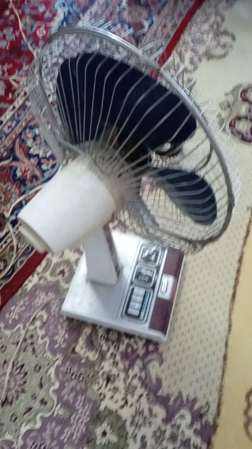 پنکه|پنکه و تصفیهکنندهٔ هوا|تربت جام, جامرود|دیوار