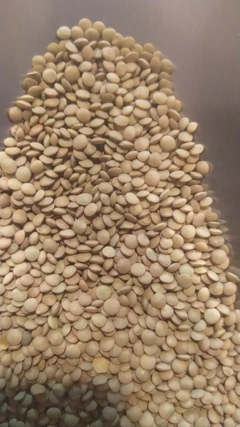 نخود لوبیا عدس سویا برنج چیتی ازبک عمده خورده|خوردنی و آشامیدنی|شیراز, شیشهگری|دیوار