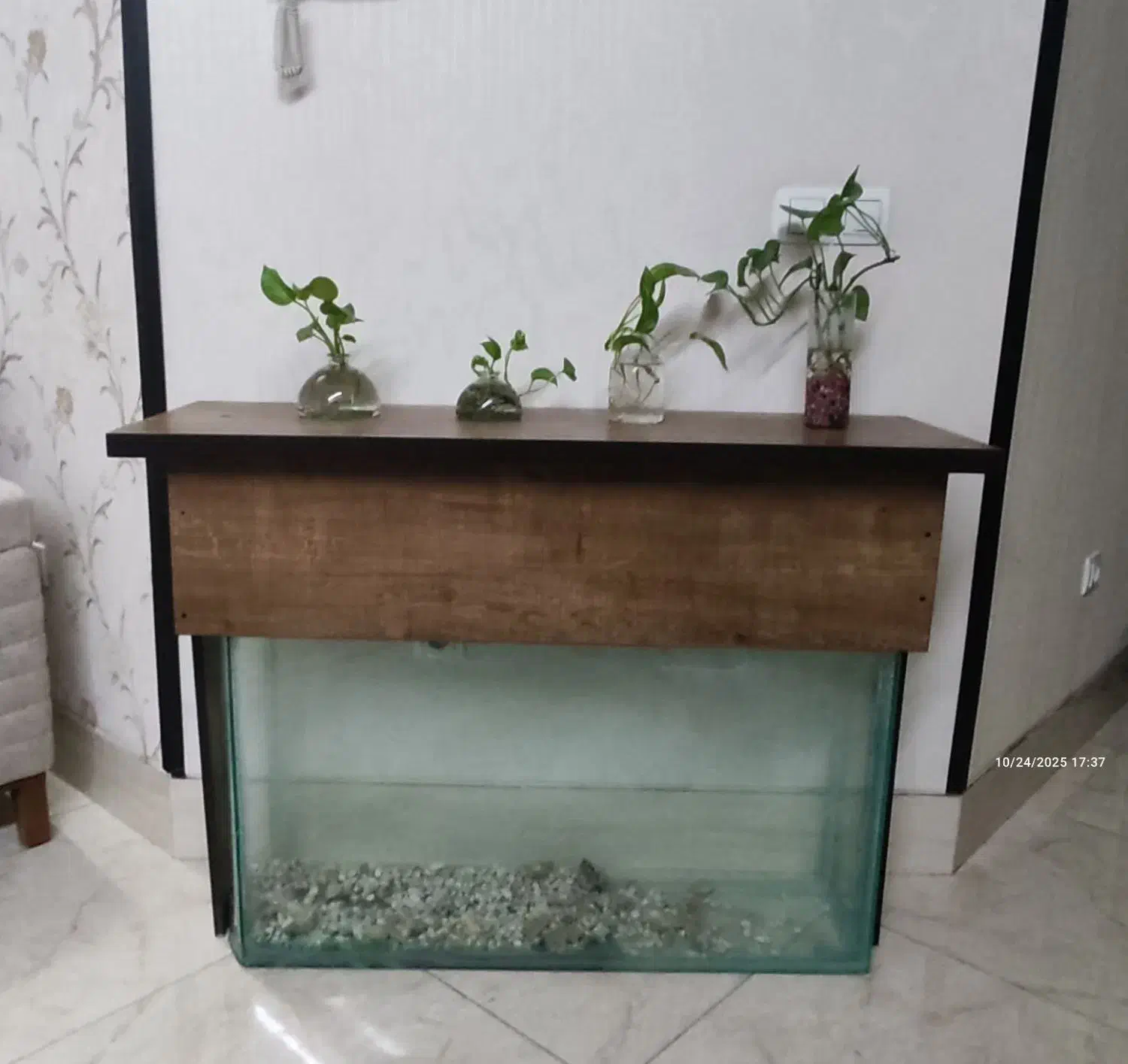 آکواریوم|ماهی|شیراز, پودنک|دیوار