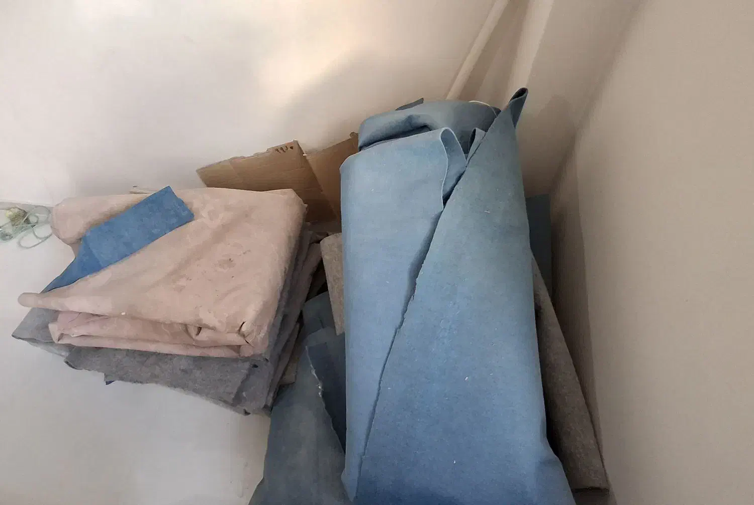 موکت|موکت|گرگان, |دیوار