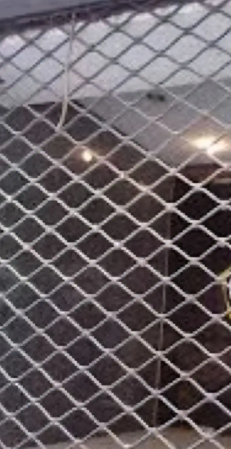 اجاره مغازه ۲۸ متری در هراز افتاب چهارم اوایل کوچه|اجارهٔ مغازه و غرفه|آمل, |دیوار