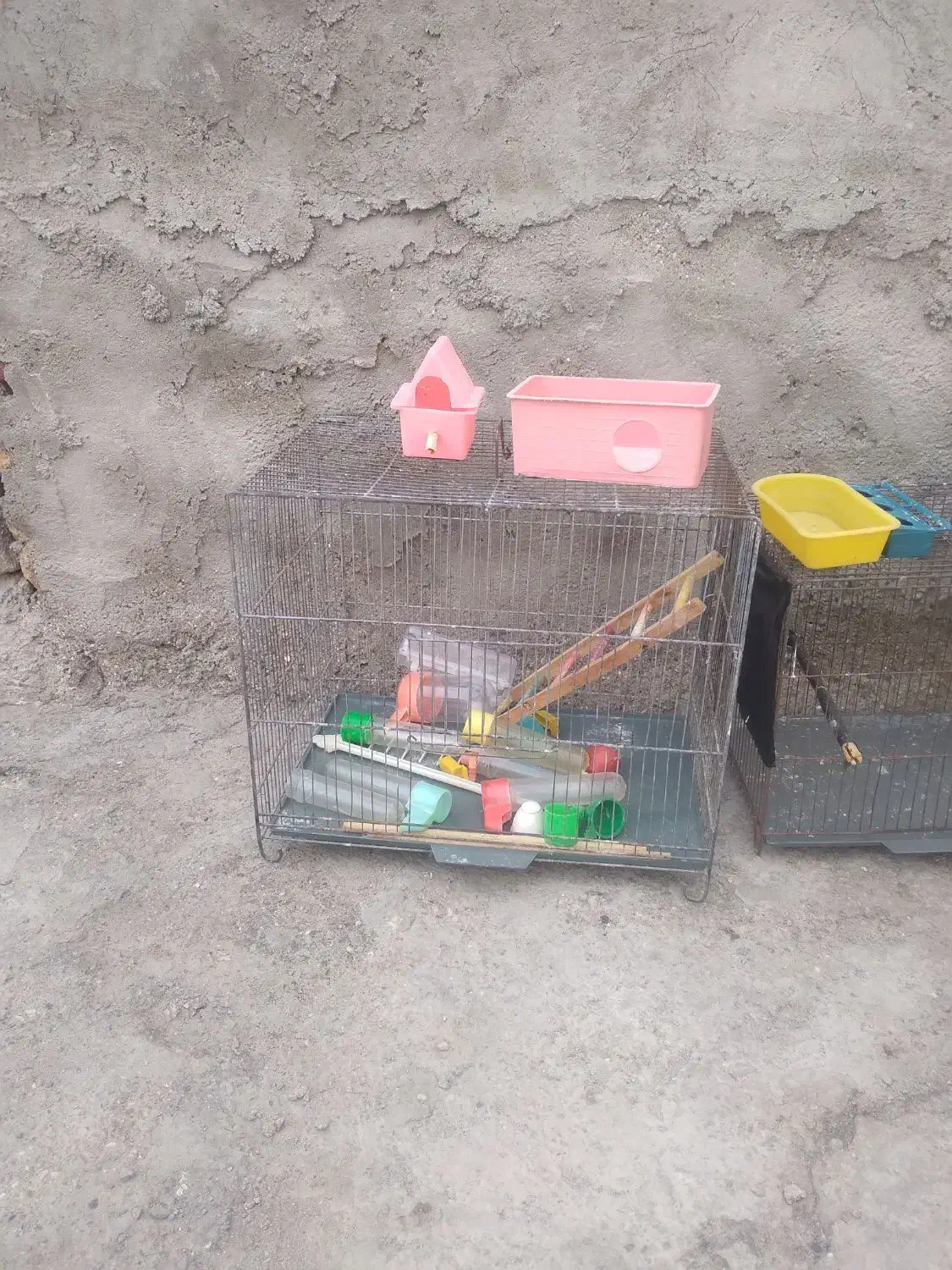 قفس پرنده|لوازم جانبی حیوانات|ساوه, |دیوار