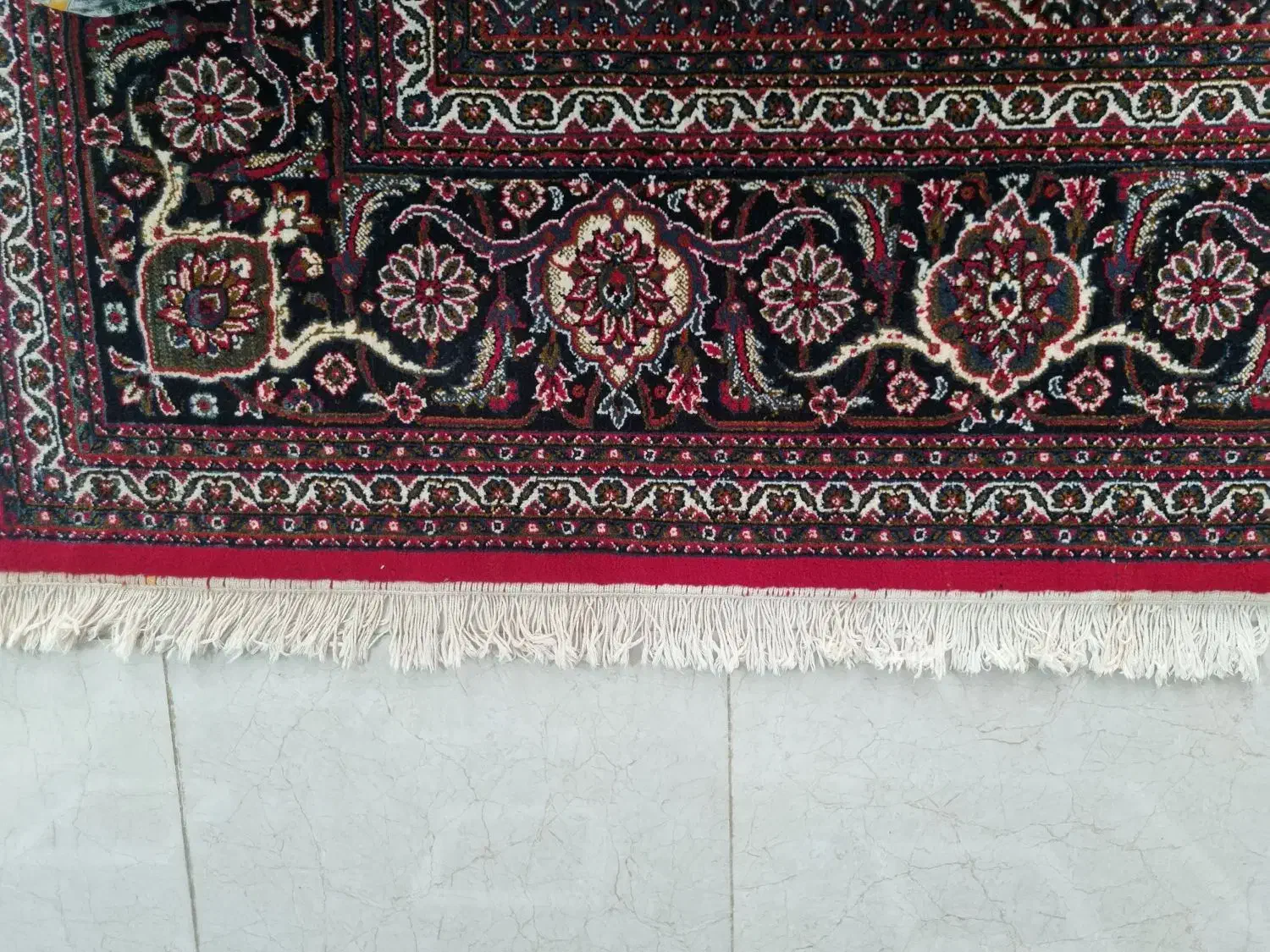 دو تخته فرش نگین مشهد طرح ریزماهی|فرش|کرمانشاه, |دیوار