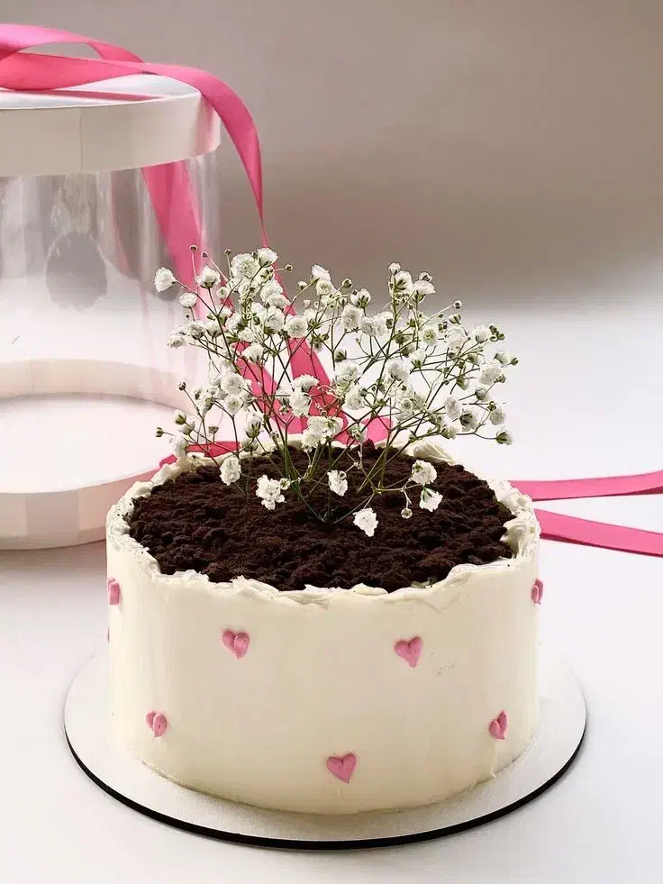 تیکه کیک|حراج|نیشابور, کوی یغما|دیوار