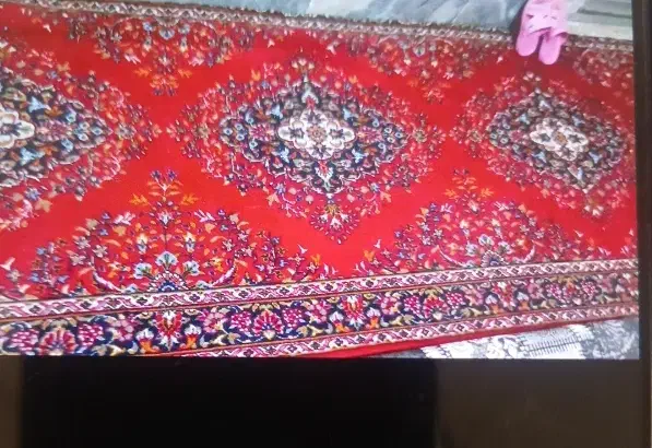 فرش لاکی|فرش|قم, شاه سید علی|دیوار