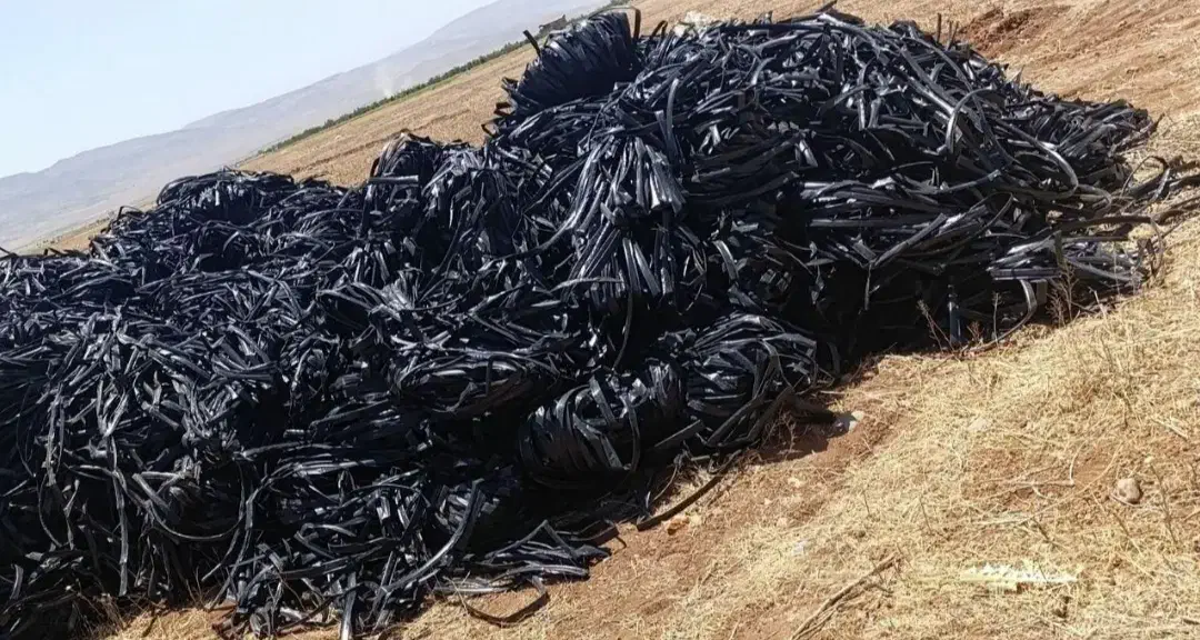 خریدار نوار تیپ|خدمات باغبانی و درختکاری|برازجان, |دیوار