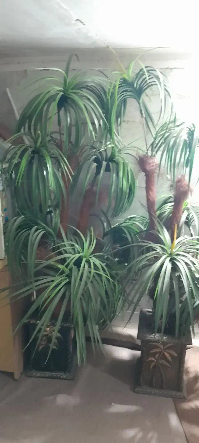 گل مصنوعی|گل مصنوعی|مشهد, طلاب|دیوار