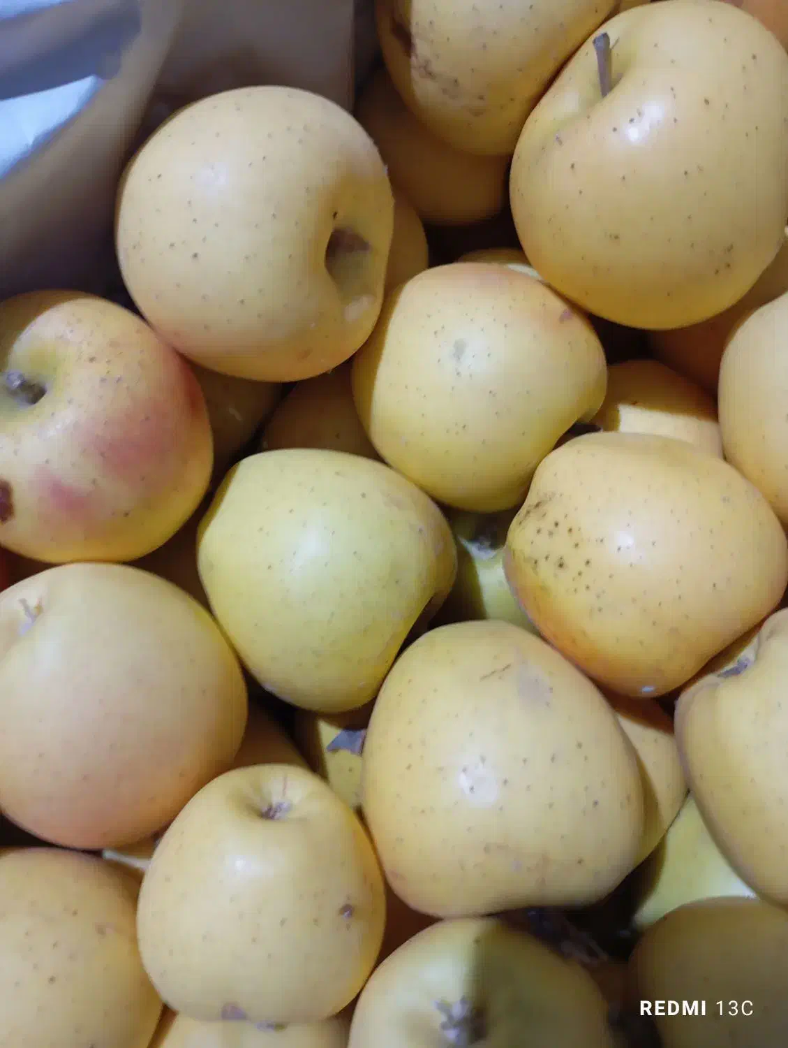 فروش سیب|خوردنی و آشامیدنی|باغ حلی, |دیوار