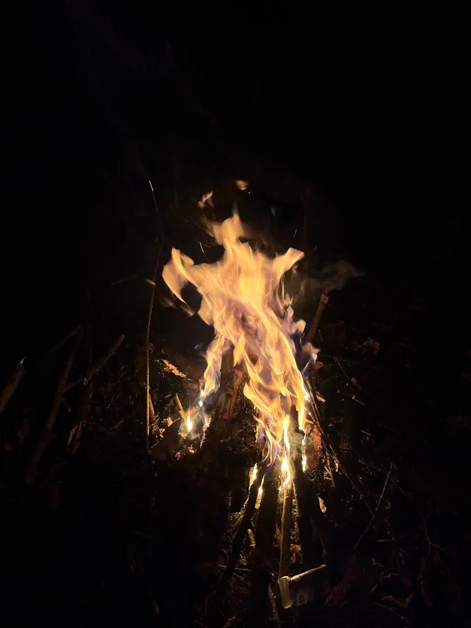 نوشتار درمانی|خدمات آموزشی|رشت, فلسطین|دیوار