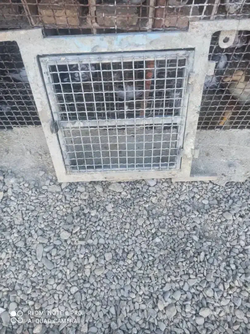 در آغول|لوازم جانبی حیوانات|ایرانشهر, |دیوار