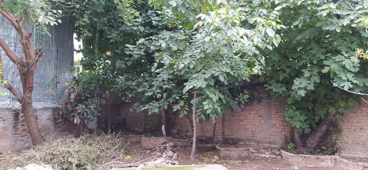 رهن کامل تکواحدی دربست ویلایی۴۰۰متری در سروینه باغ|اجارهٔ خانه و ویلا|ساری, |دیوار