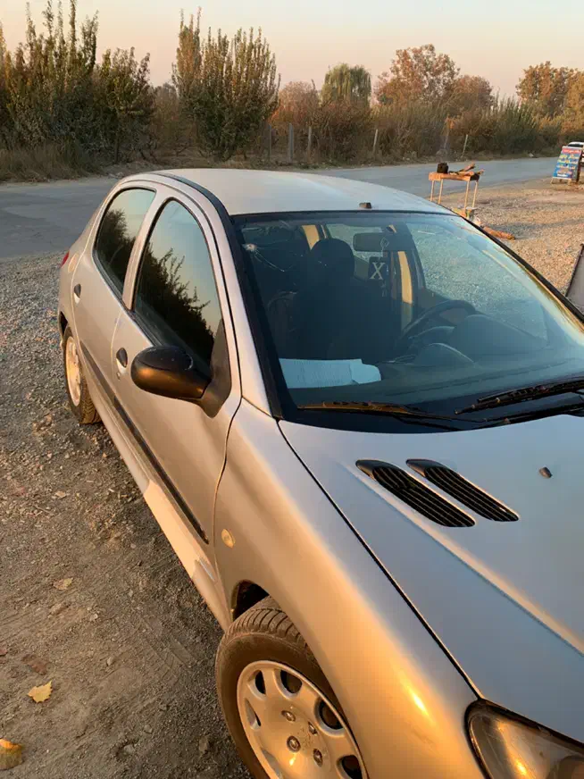 ۲۰۶ مدل ۸۳ تمیز اتاق بیصدا شاسی پلمپ|خودرو سواری و وانت|هشتگرد, تهران دشت|دیوار