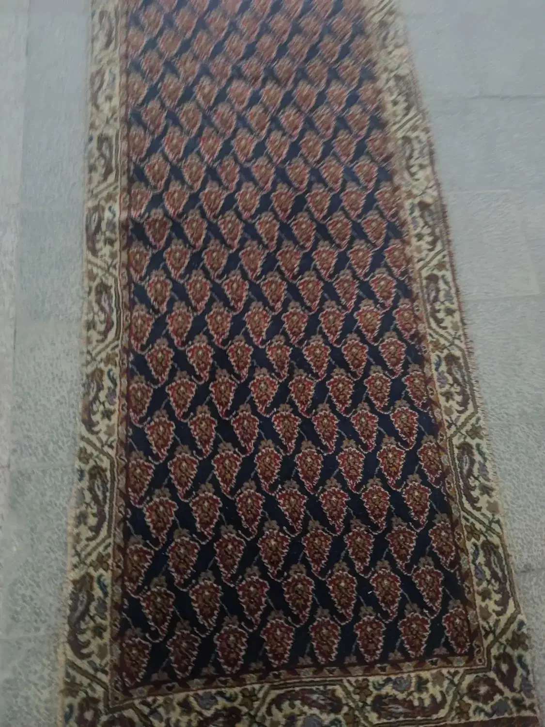 کناره فرش|فرش|بروجرد, |دیوار