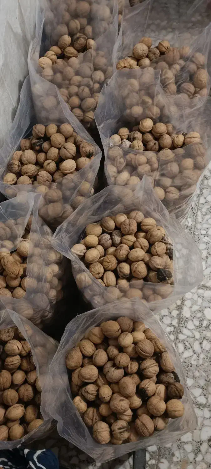 گردو خوش طعم و پرچرب|خوردنی و آشامیدنی|شاهین دژ, |دیوار