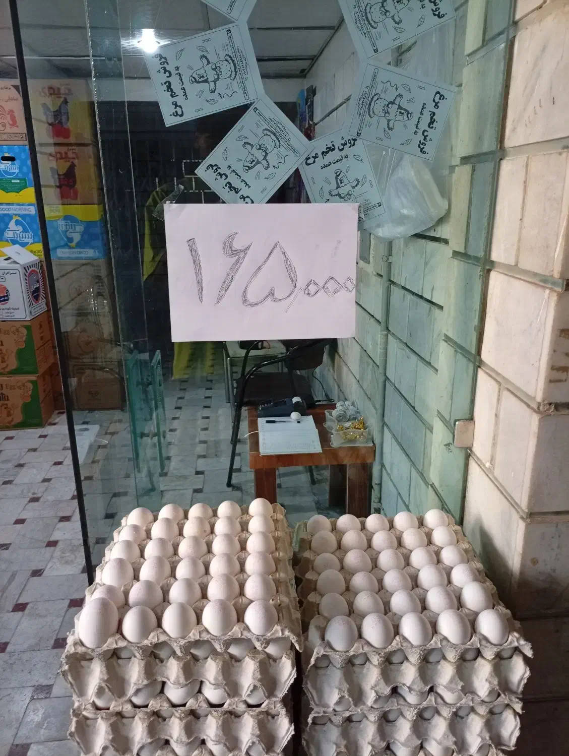 فروش تخم مرغ به قیمت عمده شانه ای165|عمدهفروشی|هشتگرد, شهرک ولیعصر (مصلی)|دیوار