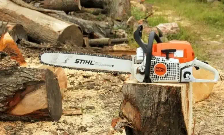 خرید و قطع چوب و انواع درختان باغی و غیره|خدمات باغبانی و درختکاری|چالوس, |دیوار